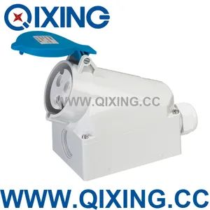 32A 230V European Surface Mounted Socket (QX1421) Origin China IP Rating IP44 Model NO. QX1421 Trademark QIXING HS Code - Zhejiang Qixing Electric Technology Co., Ltd. - China