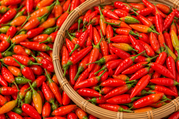 Bird's Eye pepper Form Other, Whole Delivery Form Bag, Sacks Features Fair Trade, Organic Origin Brazil, European Continent, European Union, National, Vietnam, Worldwide - Direct Impact Partners - Ivory Coast