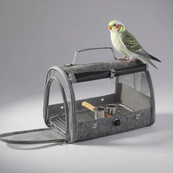 Parrot Travel Carrier with Perch Double Food Bowls Breathable Transparent Small Bird Portable Cage - Shandong Well Pack Industry Co., Ltd - China