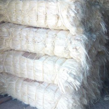 Fresh Green Peas coffee sisal fiber from Oceanwide Fresh Green Peas coffee sisal fiber - Oceanwide - Kenya