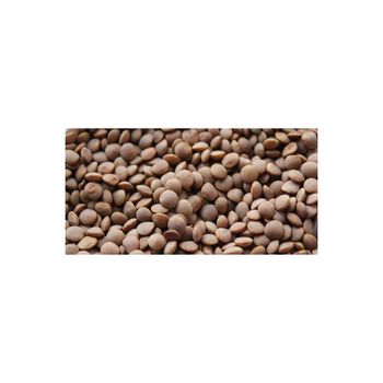 Lentil seeds for sale at wholesale prices perfect for supermarkets and organic markets - AMAC GOLD AND DIAMOND METALS SUPPLIER - Germany