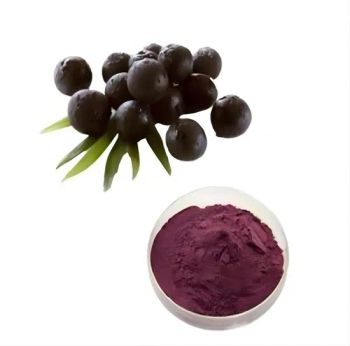 Best Sale Food Grade Traditional Chinese Herbal Medicine Black Elderberry Extract - Shaanxi Lymall Bpanda Tech Co., Ltd. - China