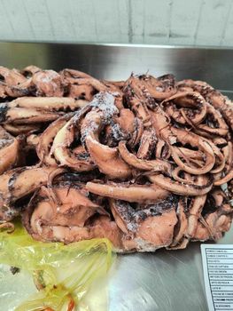 Giant squid Tentacles boiled - Fishmer Sea products SLU - Spain