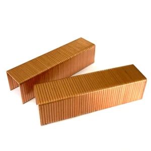 590 Series 16mm Carton Close Staple Galvanized for Corrugated Carton Boxes - CHANGZHOU KYA FASTENERS CO., LTD. - China