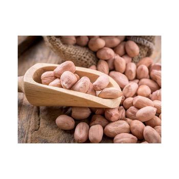 Cheap price Groundnuts ideal for roasting processing and peanut butter production - afrivett@gmail.com - South Africa