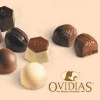 Product - CVO INTERNATIONAL - Belgium