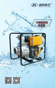 Portable Sewage Pumps - Borra Supply Chain Co., Ltd - China