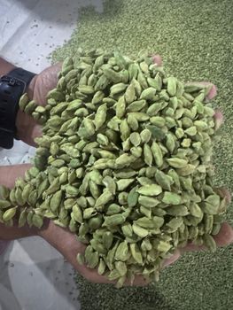 Alappy Green cardamom - 7mm-8mm from PureNest Ventures PVT LTD Alappy Green cardamom - 7mm-8mm - PureNest Ventures PVT LTD - India