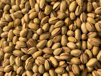 Iranian Akbari Pistachio - Grade 1 - Size 22/24 - Premium Quality - Raw - In Shell - Export Qualit - KIYASHA ARAZ - Iran