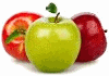 Product - GREEN FOOD - Netherlands