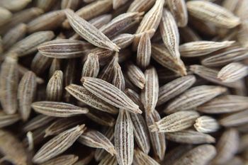 Cumin seeds, coriander seeds, turmeric powder, red chilli powder, funnel seeds, garlic, dried vegetables - BABA SALAK DAS EXPORTS - India
