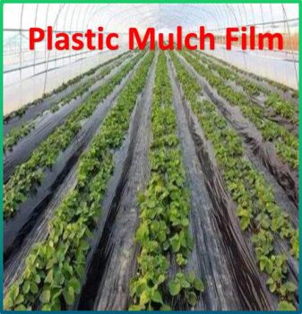 Anti Weed Mat Plastic Mulch Film Agricultural Black Plastic Ground Film - WELL MERIT INDUSTRIAL ENTERPRISE LIMITED - China