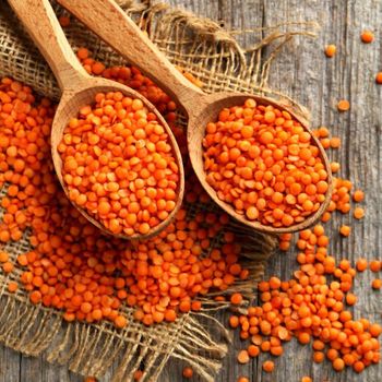 Wholesale Price Canadian Red Lentils / Split Red Lentils Available for Sale at Low Price, Fresh Red Lentil - TRADECENTRIC LLC - United States