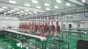 Excellent Quality Sheep Slaughtering Equipment Carcass Processing - China National Packaging and Food Machinery Corporation - China
