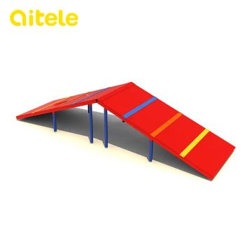 New Environment-Friendly Pet Training Equipment Supplies - Qitele Group Co., Ltd. - China