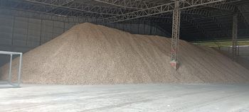 Casava dried chip - อัครมาต - Thailand