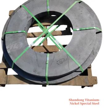 Hastelloy B-2 Uns N10665 Corrosion-Resistant Nickel Alloy Steel Ring Chemical Industry - Shandong Titanium Nickel Special Steel Co., Ltd - China