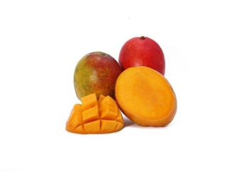 Fresh HADEN MANGOES Rich Juicy Texture Perfect For Fruit Lovers Healthy Snacks And Wholesale Fruit Buyers from TRADECENTRIC LLC Fresh HADEN MANGOES Rich Juicy Texture Perfect For Fruit Lovers Healthy Snacks And Wholesale Fruit Buyers - TRADECENTRIC LLC - United States