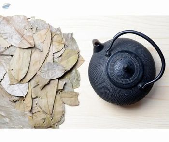 Dried Soursop Graviola Leaf, A -  99 Gold Data Processing Trading Company Limited  - Vietnam