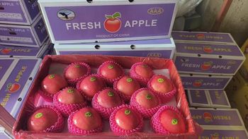 FRESH APPLES & PEARS Texture Crisp Origin Finest Orchards Growth Method Naturally Grown Quality Standard Global - SYSFUR - China