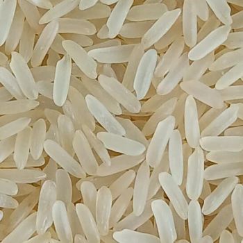 Indian Parboiled Rice 5% Broken Color White Origin India Grain Type Long Grain Broken Grain Percentage 5%% Processing Method Parboiled - Gokul Nutrients Pvt Ltd - India