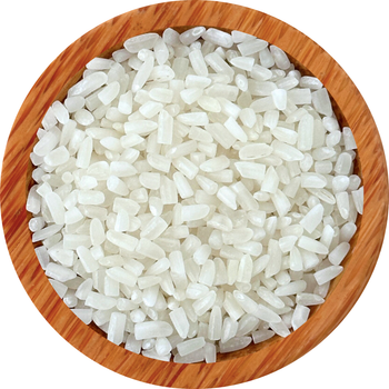 Broken Rice - BF GLOBAL TRADING (PTY) LTD - South Africa