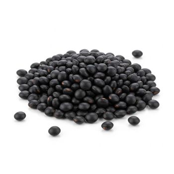 Fresh Black Lentils Rich In Nutrients And Protein Content Black Lentils Offered In Bulk For International Trade - THE GREEN INTERNATIONAL LIMITED - Tanzania