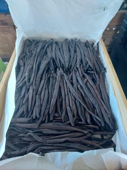 Vanilla Bean - VP Enterprises NZ Limited - New Zealand