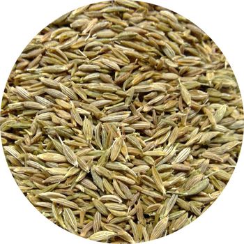 Natural Cumin Seeds Featuring 98 Percent Purity Strong Fragrance And Excellent Selection For Food Ingredient Supply - TOSOH INTERNATIONAL - South Africa