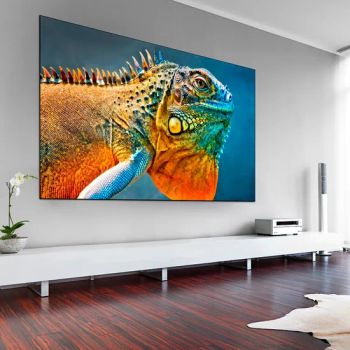 Frame Projection Screens with 8/10/15 Cm Frame - Nanjing Windon Projection Screen Co., Ltd. - China