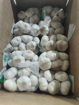 Garlic from Qingdao Zovica Garlic - Qingdao Zovica - China