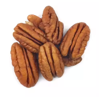 Wholesale Premium Quality Pecan Nuts – Raw, Roasted, Shelled & Unshelled - TRADE NEPAL LLC - United States