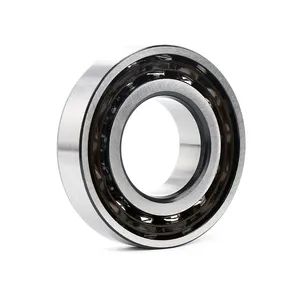 Factory Price Double Row Angular Contact Ball Bearings 7006AC - Changzhou ZHH Bearing Co., Ltd. - China