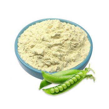 China Factory Supply Best Pea Protein 90% 20Kg Isolate Fermented Protein Soy Peas Casein Whey Pea Protein Isolate Powder - Hangzhou Focus Corporation - China
