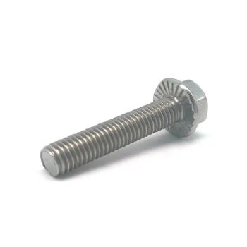 Stainless Steel A2 A4 Serrated Hex Flange Bolt MOQ 100PCS Origin China Trademark HINA HS Code 731815 Grade All Kinds Model NO. M5-M24 - Jiaxing Haina Fastener Co., Limited - China