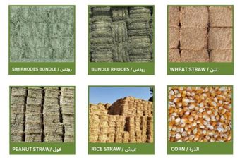 Anmile feed & Rhode grass hey Origin - ALFRIDAY AGRO TRADERS - Pakistan