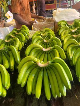 Fresh G9 Cavendish Banana from GOLDENLEAF NATURALS Fresh G9 Cavendish Banana - GOLDENLEAF NATURALS - India
