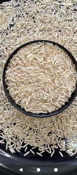 Basmati steam Stella rice - Mega Perazim Innovations Limited - Nigeria