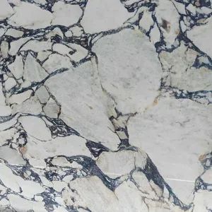 Luxury White Marble Slab Veins Interior Decoration Marble Floor Wall Tiles Countertop - Xiamen Shun Shun Stone Import & Export Co., Ltd. - China