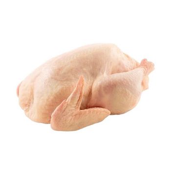 Premium Supplier Halal Frozen Whole Chicken Halal Chicken Processed Meat Whole Chicken And Chicken Parts - MT Trading GmbH - Germany