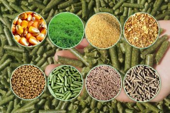 animal feed - Freeze Dried Fruit LTD - Uzbekistan