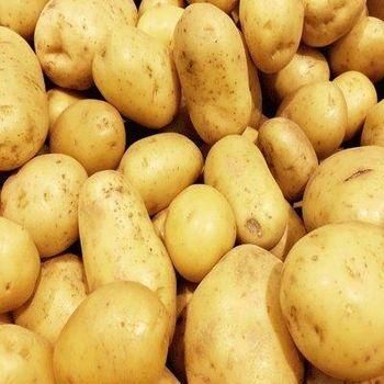 100% Pure Natural Organic Potato Starch Packaging 50kg Grade best grade Type Starch Shape powder - S-SQUAD - France