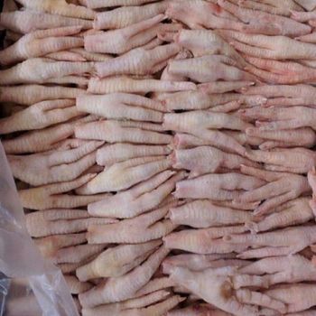 Wholesale Halal Chicken Feet / Frozen Chicken Paws Brazil / Fresh Chicken Wings and Feet and Paws - Carla Pisselli Commercio - Brazil