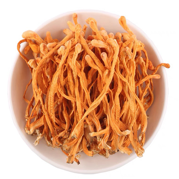 Organic Dried Cordyceps Militaris Mushroom Big Spore Head - Njang Investments Limited - Kenya