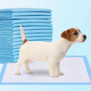 Wholesale Customizable Pet Pads Good Quality Cheaper Pet Products - Guangdong Lechen Sanitary Products Co., Ltd. - China