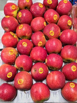 Fresh Quality Joya Apples for sale from NINE FRUITS EXPORTS (PTY) LTD Fresh Quality Joya Apples for sale - NINE FRUITS EXPORTS (PTY) LTD - South Africa