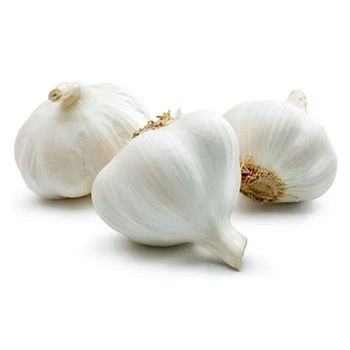 New Crop Fresh Garlic at Wholesale Prices from DAEWKAEW PANTAMANG Co., Ltd New Crop Fresh Garlic at Wholesale Prices - DAEWKAEW PANTAMANG Co., Ltd - Thailand
