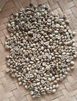 Robusta Coffee green bean – product photo, Organic Arabica Green Coffee Beans products found from trusted suppliers, wholesalers, manufacturers & exporters Listing
