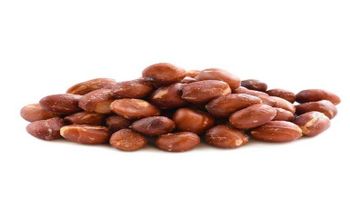 peanut - billionaire export - Ethiopia