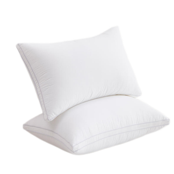 down pillow - lujiang huarun down co.ltd - China